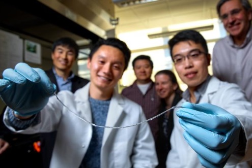 Cet implant, nommé TRAFFIC pour (Thread-Reinforced Alginate Fiber for Islets enCapsulation), vient d’être mis au point par des étudiants en doctorat de l'Université de Cornell 