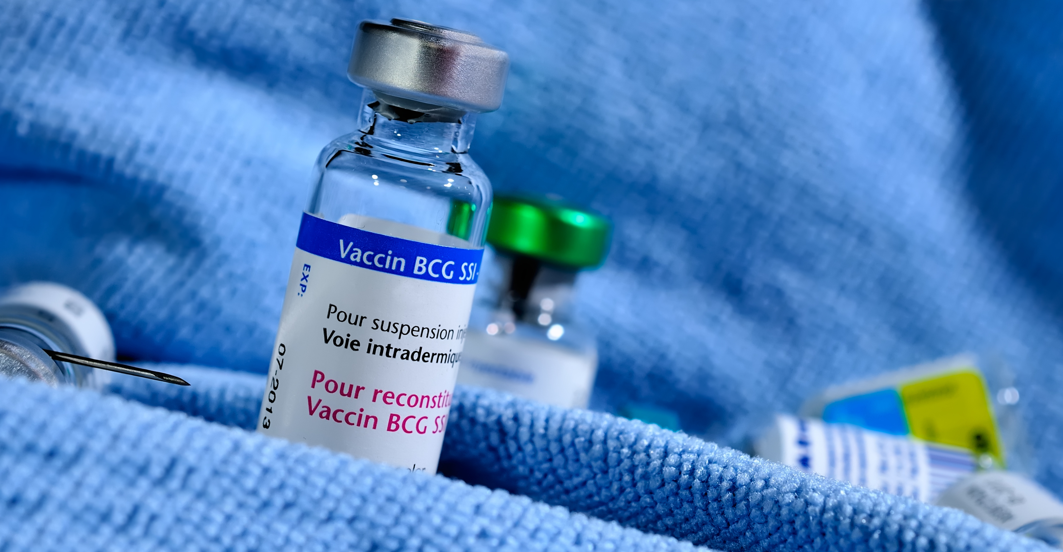 Sur l’efficacité du vaccin bacille Calmette-Guérin (BCG) à abaisser de manière sûre et significative la glycémie, dans le traitement du diabète de type 1 (Visuel Adobe Stock 54161755)