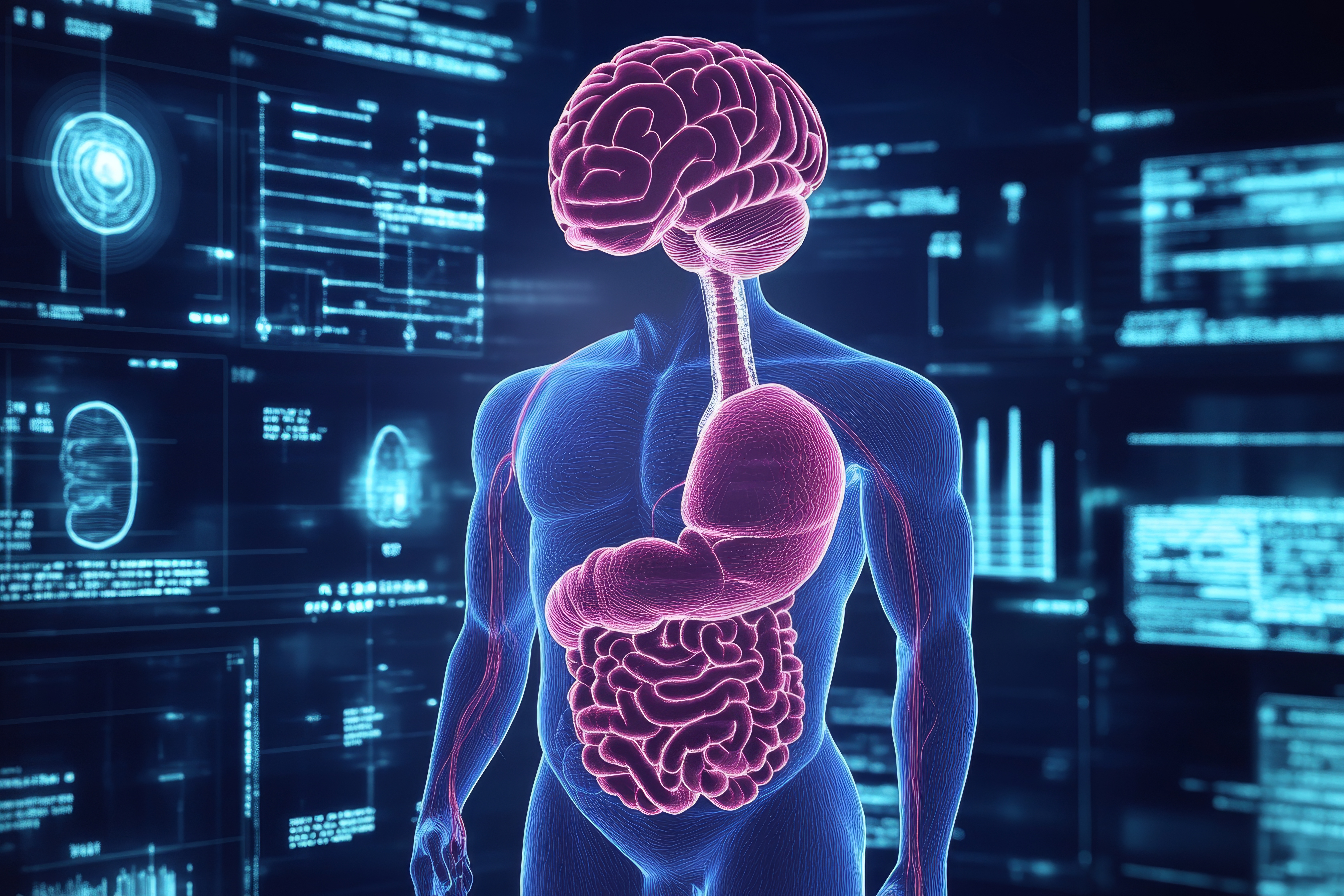 L'&eacute;tude identifie pr&eacute;cis&eacute;ment les signaux entre le foie et le cerveau qui r&eacute;gulent l'alimentation et la d&eacute;pense &eacute;nerg&eacute;tique (Visuel Adobe Stock 932497552)